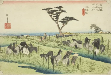 Chiryu: Marché aux chevaux de début d