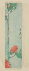 Enveloppe avec hibiscus