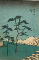 Observation des fleurs à la colline Asuka (Asukayama hanami), section d
