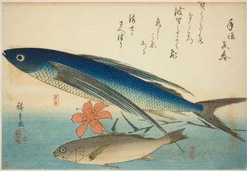 Poisson volant et Ichimochi, d