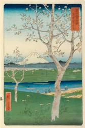 Fuji de Koshigaya, Mushashi, n°14 de la série 