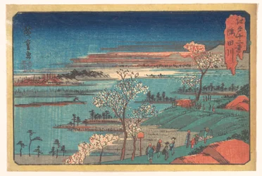 Fleurs de Gotenyama