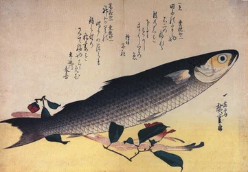Hiroshige Mulet gris et camélia