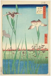 Iris à Horikiri (Horikiri no hanashobu), de la série "Cent vues célèbres d