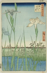 Iris à Horikiri (Horikiri no hanashobu), de la série "Cent vues célèbres d