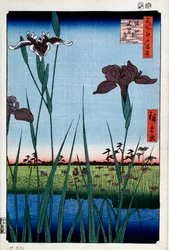Iris à Horikiri Cent vues célèbres d