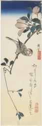 Moineau de Java et magnolia, 1834-1839