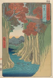 Province de Kai : Pont des singes