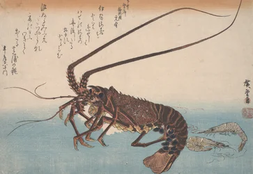 Homard et crevette, vers 1832