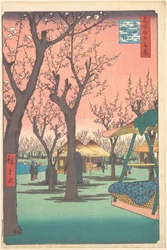 Jardin de pruniers à Kamata