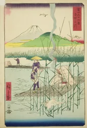 Rivière Sagami, de la série "Trente-six vues du mont Fuji"