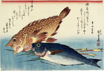 Rascasse, Grunt de poulet et pousses de gingembre, vers 1832