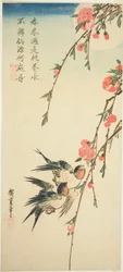 Hirondelles, fleurs de pêcher et pleine lune