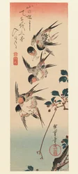 Tanzaku, quatre hirondelles, 1832