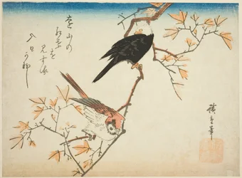 Deux oiseaux sur une branche d