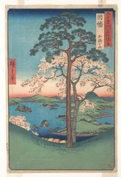 Vue de Kajikoyama, province d