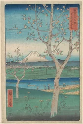 Vue du mont Fuji depuis Koshigaya, dans la province de Musashi (Musashi, Koshigaya Zai), de la série Trente-six vues du mont Fuji (Fugaku sanjūrokkei)