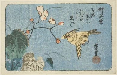 Oiseau jaune et bégonia