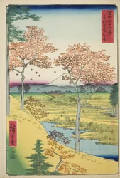 Colline Yuhi à Meguro dans la capitale orientale, de la série "Trente-six vues du mont Fuji"
