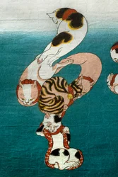 Poisson-ballon Série Chats formant des caractères écrits