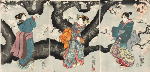 Yoru no sakura [Fleurs de cerisier la nuit], vers 1846 (gravure sur bois)