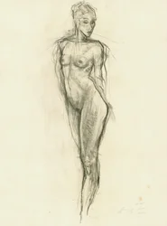 Une silhouette nue gracieuse