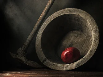 Nature morte à la grenade sombre