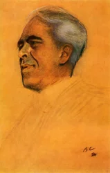 Portrait de l