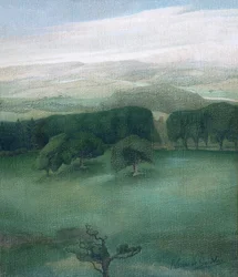Montagnes dans le Cardiganshire, années 1910