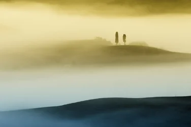 Les collines dorées brumeuses