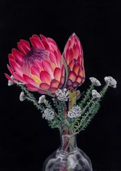 Protea et Blombos, par Viccy Wanliss