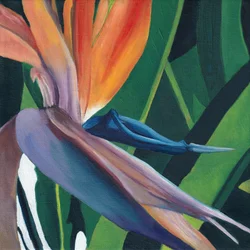 Oiseau de paradis aux couleurs éclatantes
