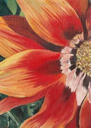 Fleur orange vif