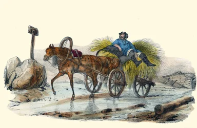 Le Paysan Russe. dans Album Grotesque, Choix de Types Remarquables, illustrations de Victor Adam, Paris, vers 1850.