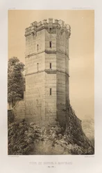 Tour de Buffon à Montbard (Côte d