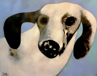 Portrait canin onirique