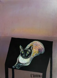 Étirement du chat siamois