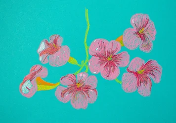 Dessin floral rose