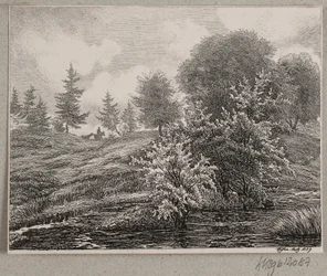 Collines près d