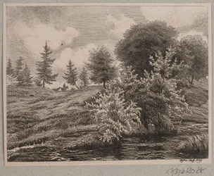 Collines près d