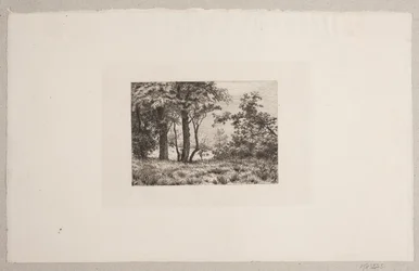 Chênes à la lisière d