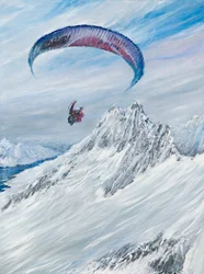 Flier antarctique, 2015