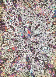 Les étoiles donnent naissance à la couleur, 2016