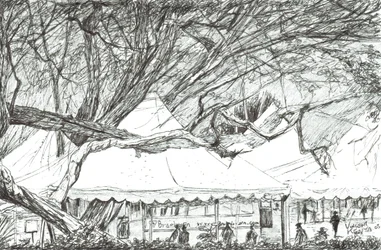 Tentes de mariage au lac Navaisha, Kenya, 2003