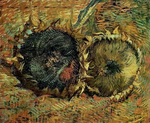 Deux tournesols coupés, 1887