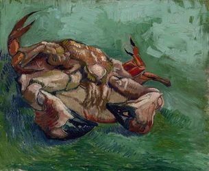 Un crabe sur le dos