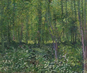 Arbres et sous-bois. 1887