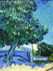 Châtaigniers en fleurs