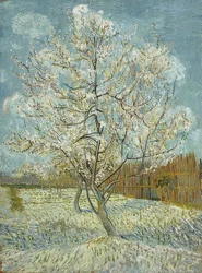Pêcher en fleurs (rose). Arles, avril-mai 1888