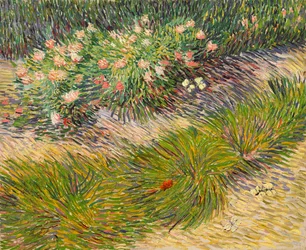 Coin du jardin avec des papillons
